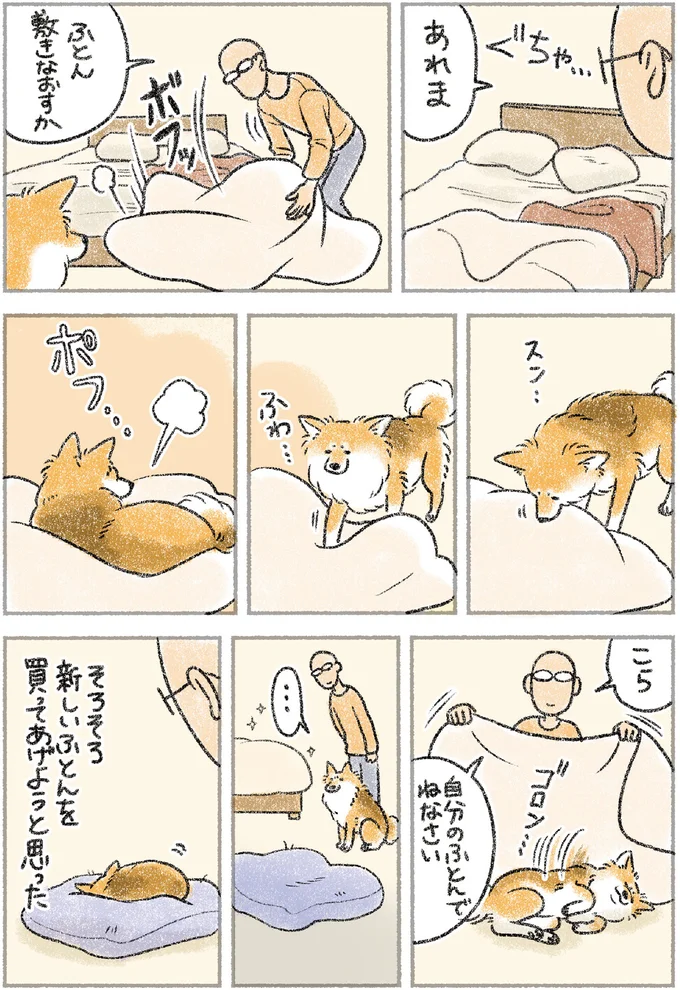 自分のふとんでねなさい