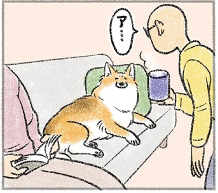 夫が座っていた場所を奪った、愛犬の目線が強者すぎる！／犬を揉む（10）