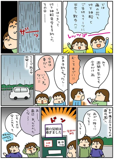 今日だけ雨