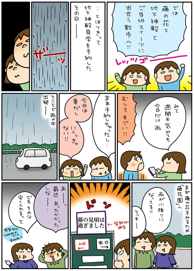 今日だけ雨