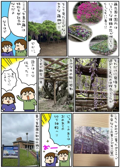 またリベンジにこよう