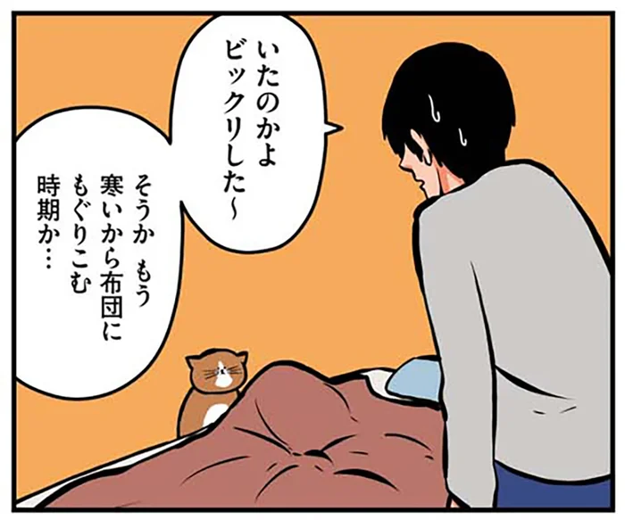 いるの？ いないの？？ 布団に潜り込んでいる猫、危ないから分かりやすくして！
