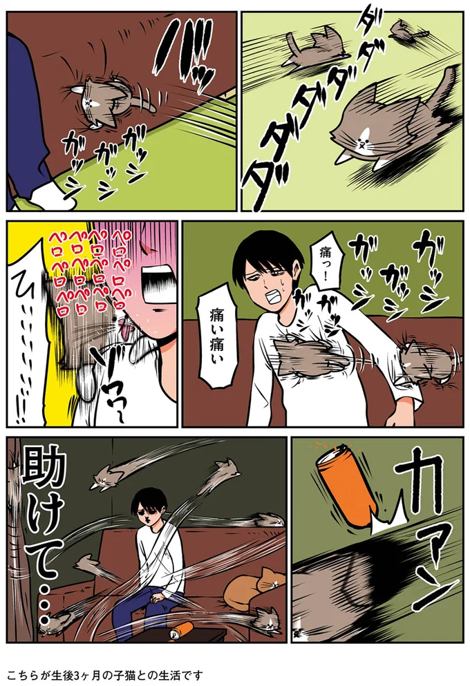 痛っ！痛い痛い