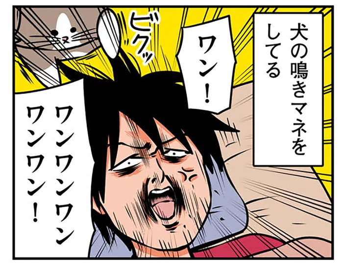 猫のじゃれつき対策を身につけた飼い主。しかし変な癖がついてしまいました