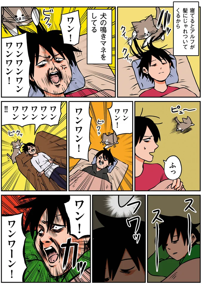 寝てるとじゃれついてくるアルフに