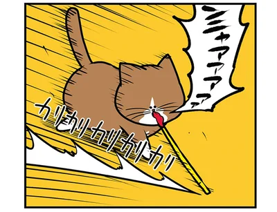 カリカリカリカリ
