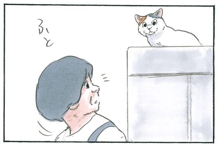 目が合うまで返事をしない!? 呼んでいるのに全然出てこない猫／拾い猫のモチャ6（2）