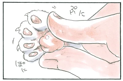 無防備な肉球