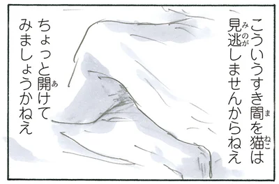 猫の作った巣穴