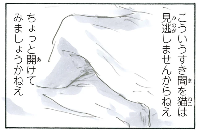すき間を見逃しません！ 猫の作った「巣穴」に大集合してリラックス／拾い猫のモチャ6（5）
