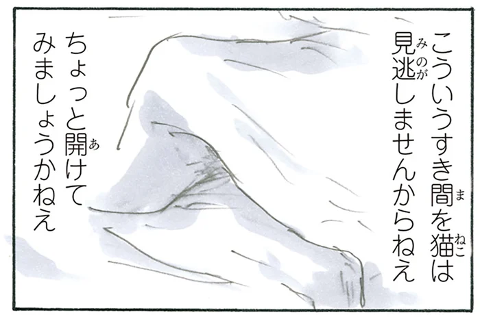 すき間を見逃しません！ 猫の作った「巣穴」に大集合してリラックス／拾い猫のモチャ6（5）