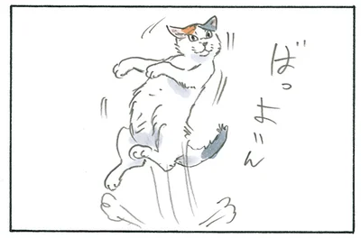猫らしからぬ？