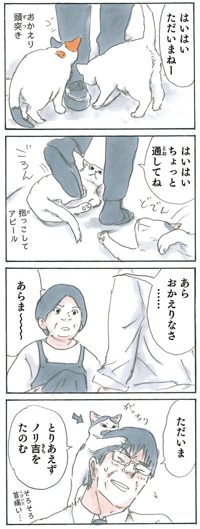 とりあえずノリ吉をたのむ