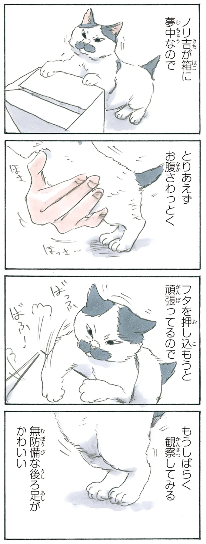 ノリ吉観察