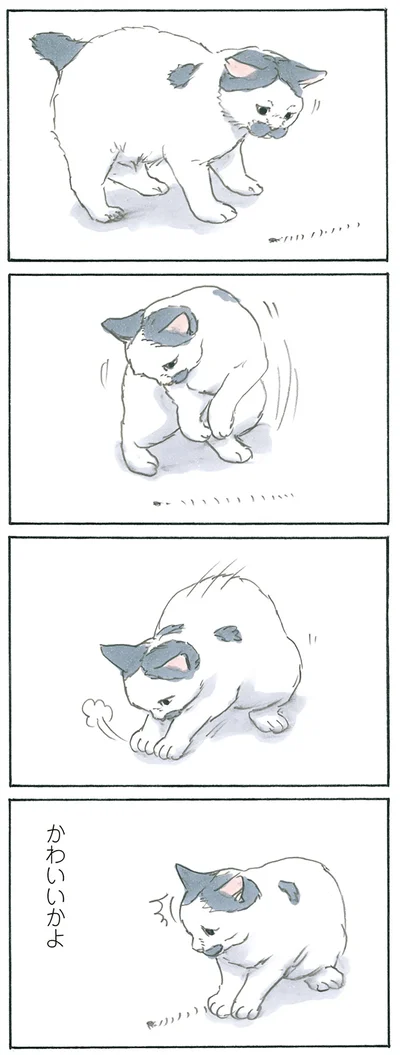 専用ベッドじゃ寝ないのに