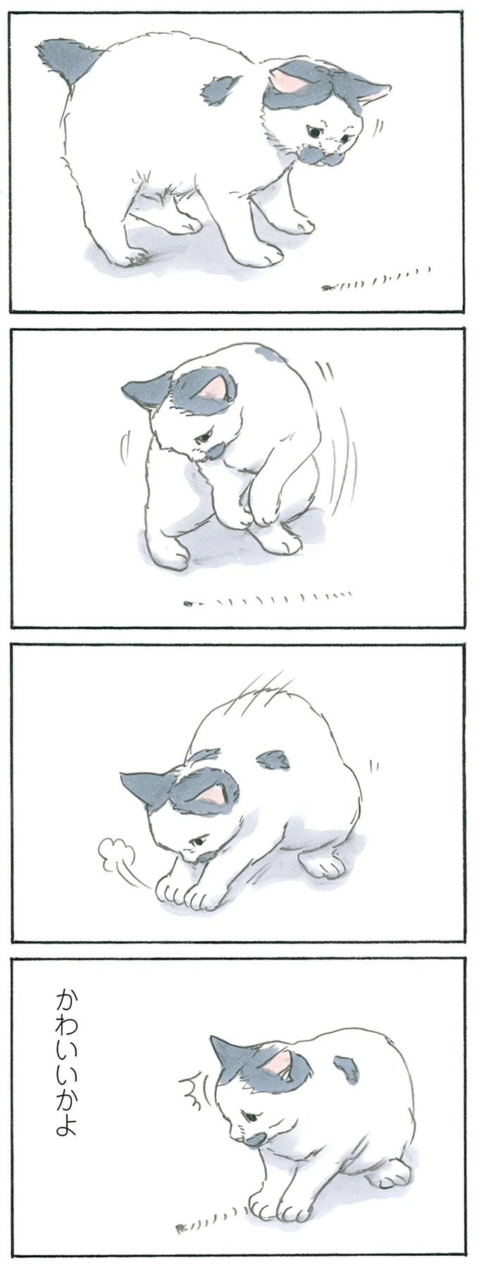専用ベッドじゃ寝ないのに