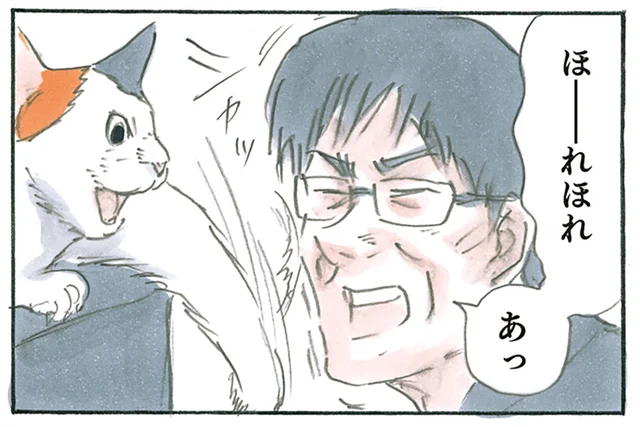 「加減知ってるから」猫の本気を出される前に引くつもりだったのに！／拾い猫のモチャ6（9）