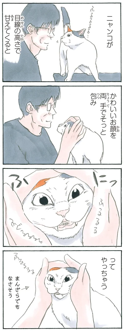 ふにってやっちゃう