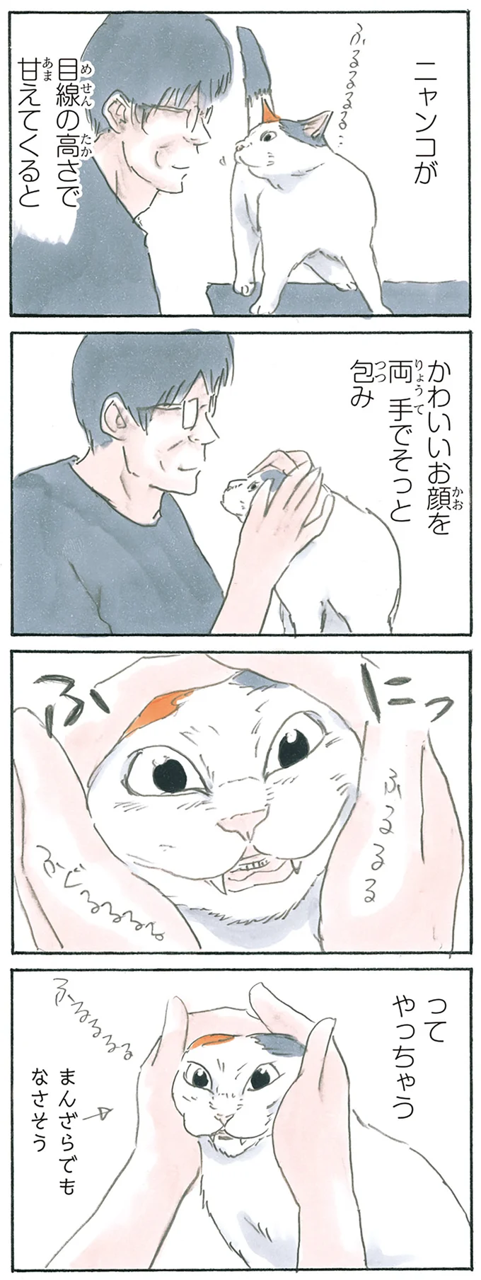 ふにってやっちゃう