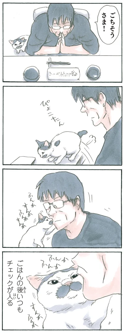 ノリ吉警察
