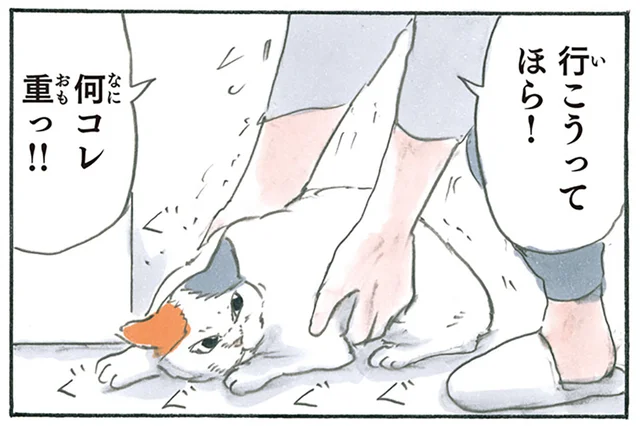 どうやって粘ってるの!? 場所を動きたくなくて謎のふんばり力を見せる猫／拾い猫のモチャ6（10）