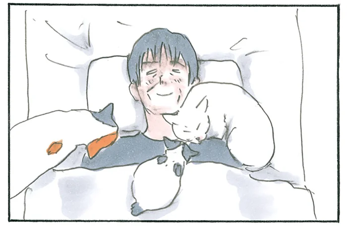 よし、セット完了！ 寝ているだけで猫が寄ってくる、寒い日の楽しみ／拾い猫のモチャ6（11）