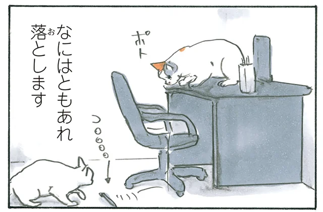 丁寧に抜き取り、落とし、隠す。3匹の猫によるペン隠しの謎／拾い猫のモチャ6（13）