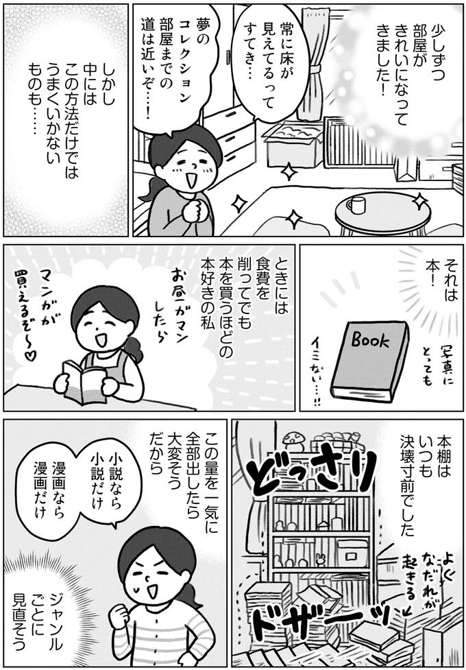 本棚はいつも決壊寸前でした