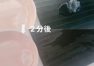 お皿と解凍プレートに氷を乗せて比べてみました