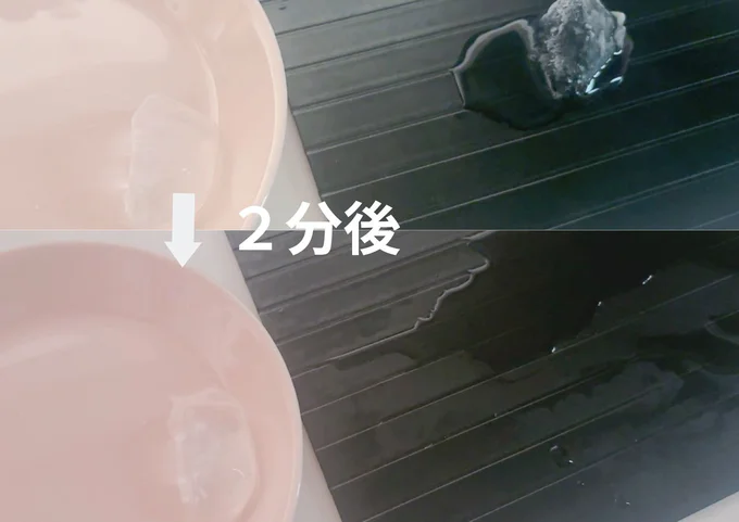 お皿と解凍プレートに氷を乗せて比べてみました