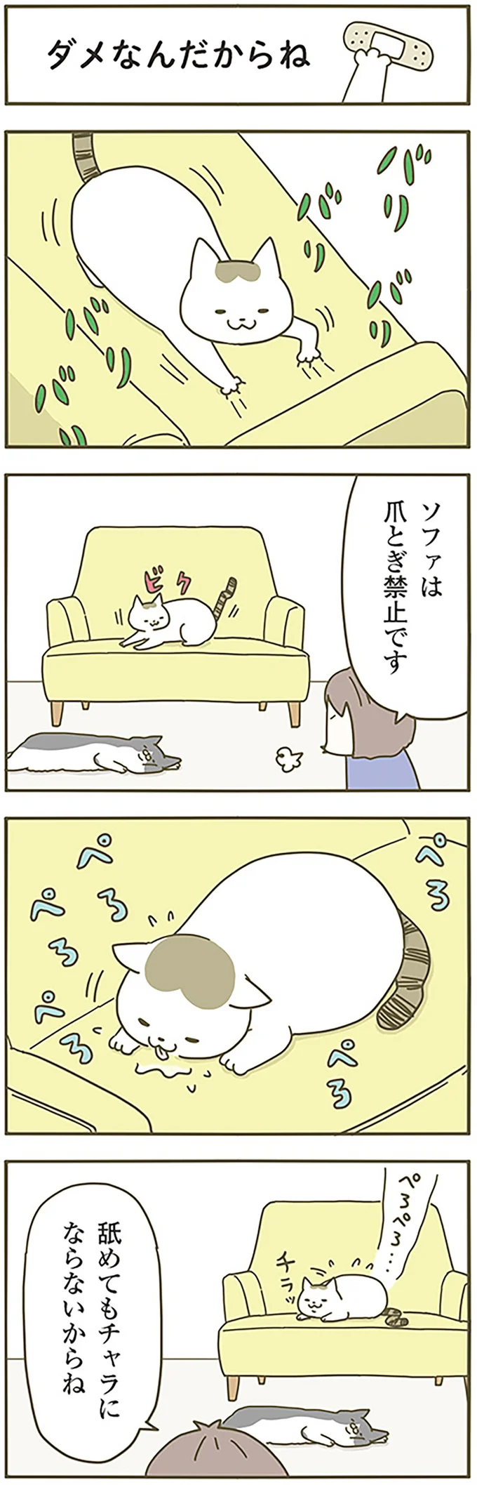 ダメなんだからね！