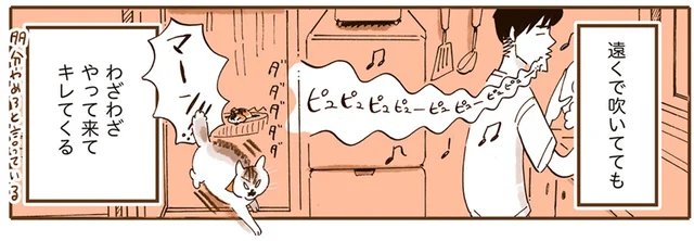 今「ワン」って言った!? 人間たちの口論を止めた猫の一喝／うちの猫は仲が悪い（1）