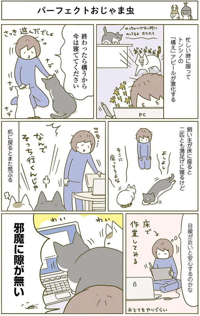 パーフェクトおじゃま虫