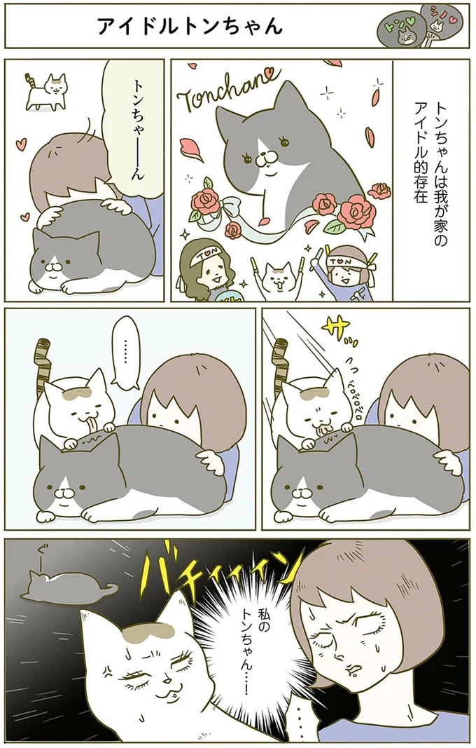 アイドルトンちゃん