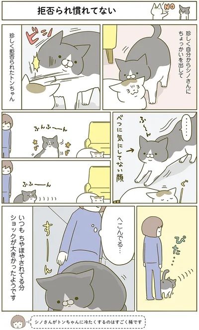 拒否られ慣れてない
