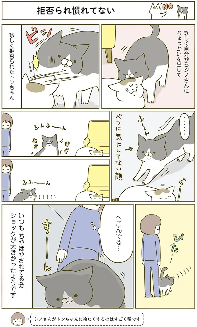 拒否られ慣れてない