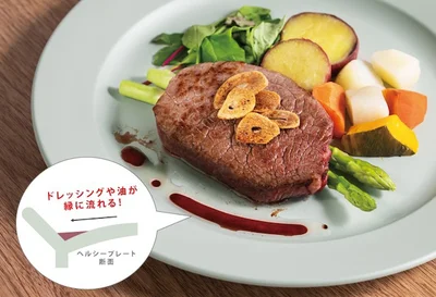 普段の食事の余分な油分をカット！株式会社エヌ・エレファントの「Recopo ヘルシープレート」