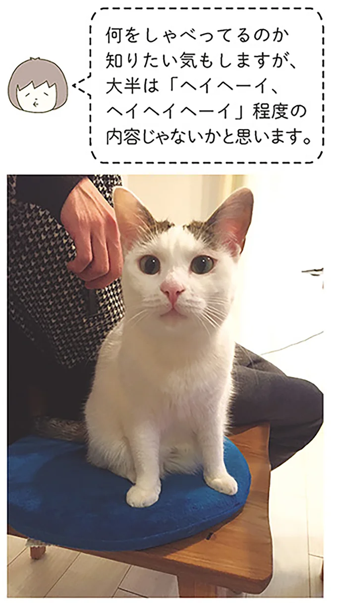 何をしゃべってるのか知りたい気もしますが
