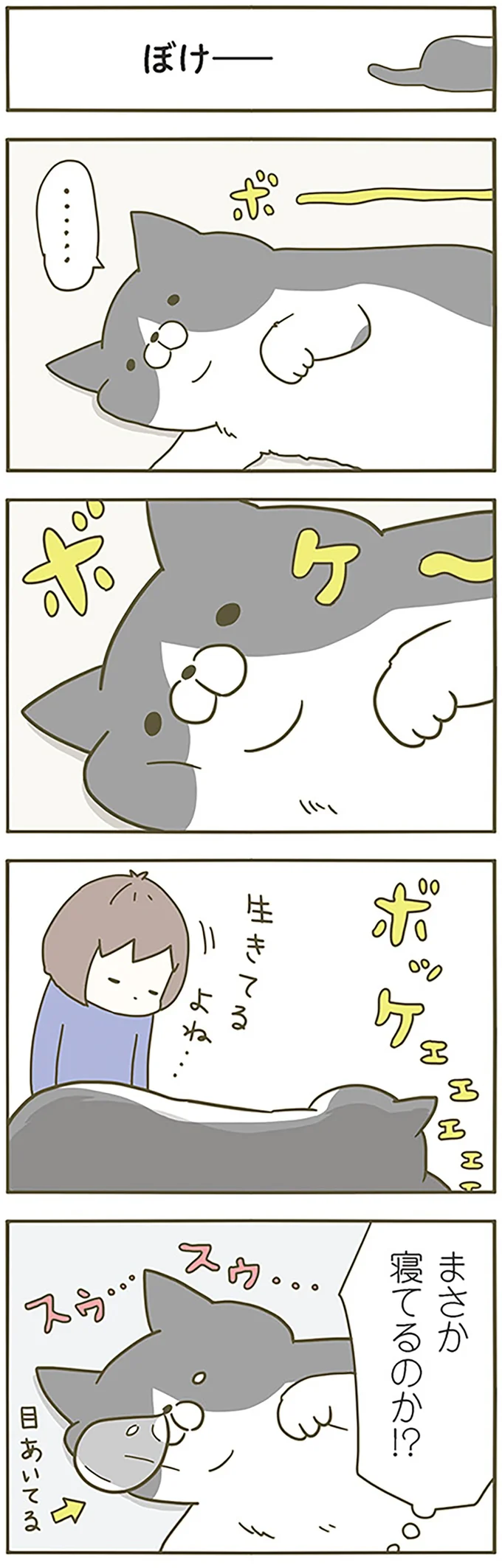 ぼけーーー