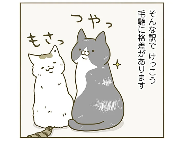 ブラッシング好きな猫の毛並みはツヤツヤ。一方、苦手な猫はモサモサに！／うちの猫がまた変なことしてる。（3）