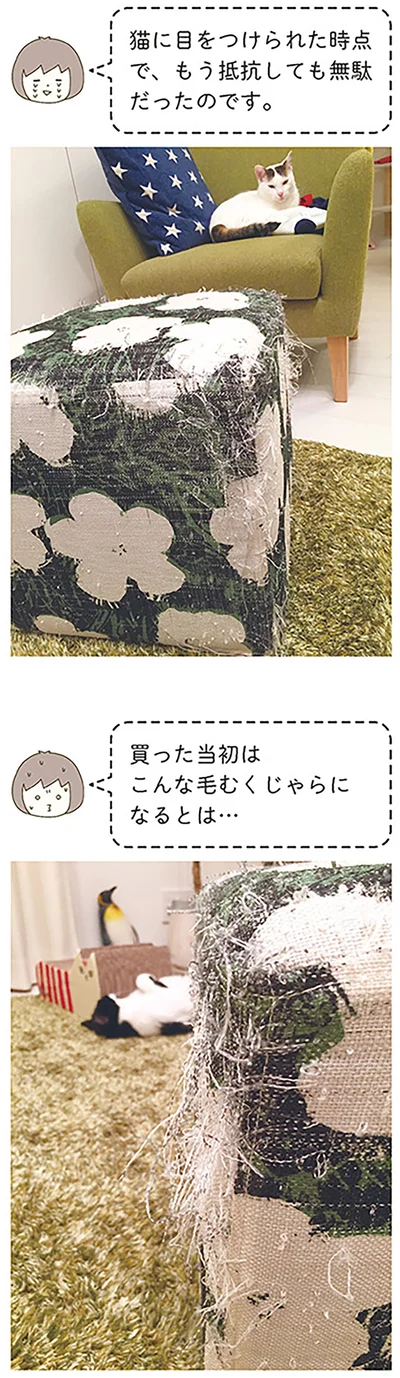 こんな毛むくじゃらになるとは…