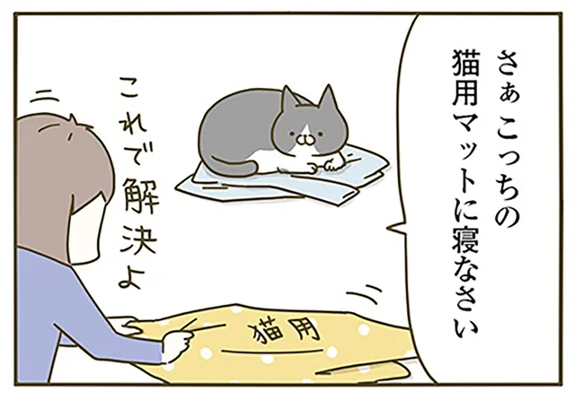 「猫用マットに寝なさい」飼い主の洋服の上にばかり座る猫を誘導したら／うちの猫がまた変なことしてる。（4）