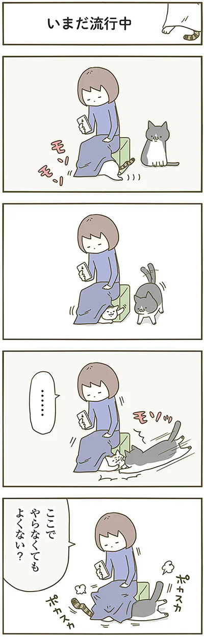 いまだ流行中