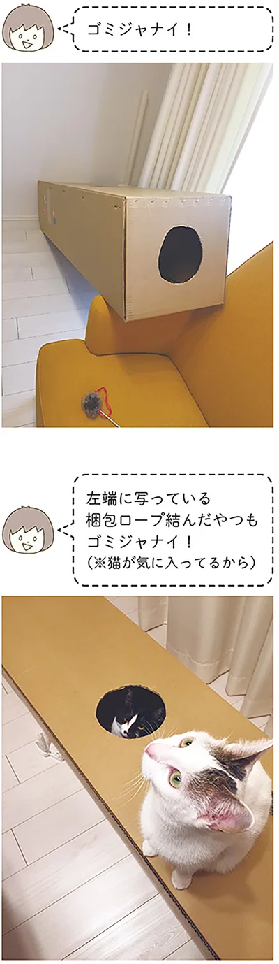 ゴミジャナイ！