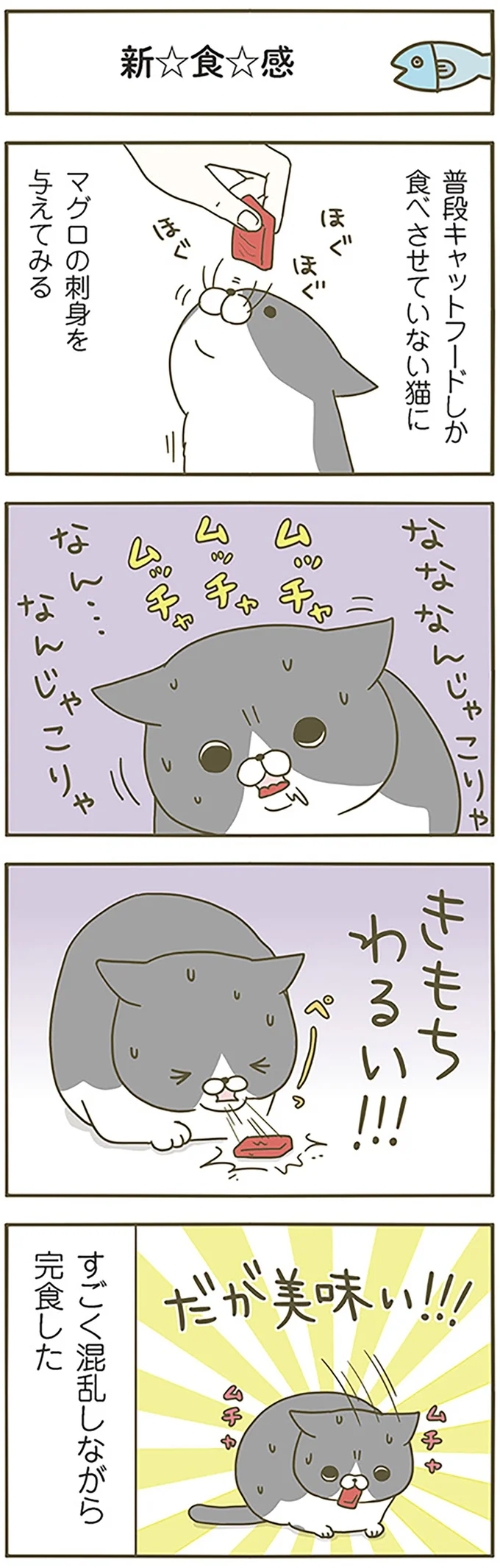 新食感