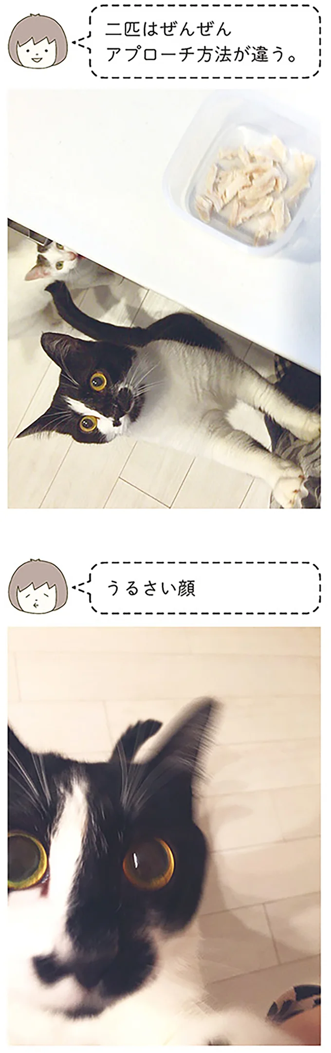 うるさい顔
