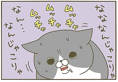 なんじゃこりゃ