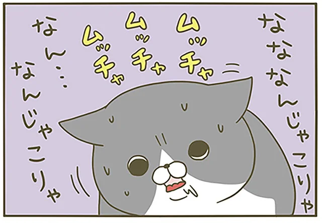 初めての食べ物に「なんじゃこりゃ」猫の反応が不思議すぎた／うちの猫がまた変なことしてる。（7）