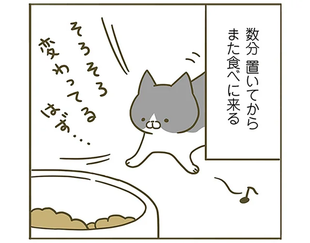 「そろそろ変わってるはず」好きじゃないごはん、時間を置いても変わりませんよ！／うちの猫がまた変なことしてる。（8）