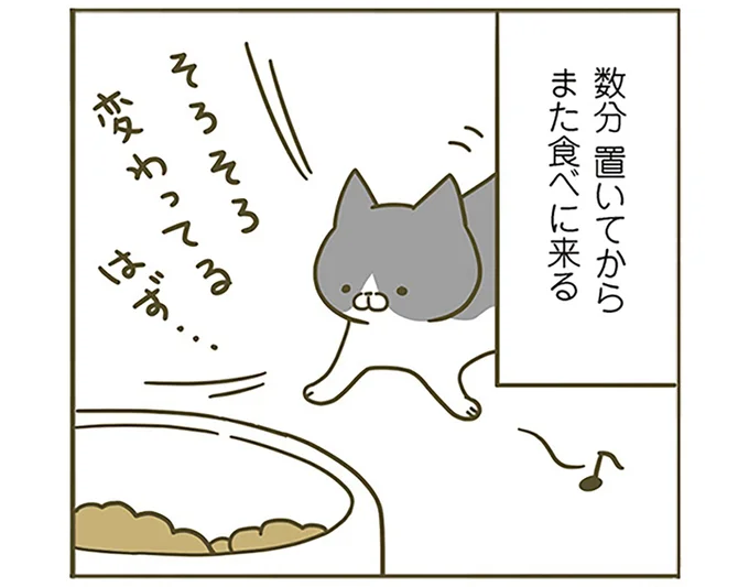 そろそろ変わってるはず…